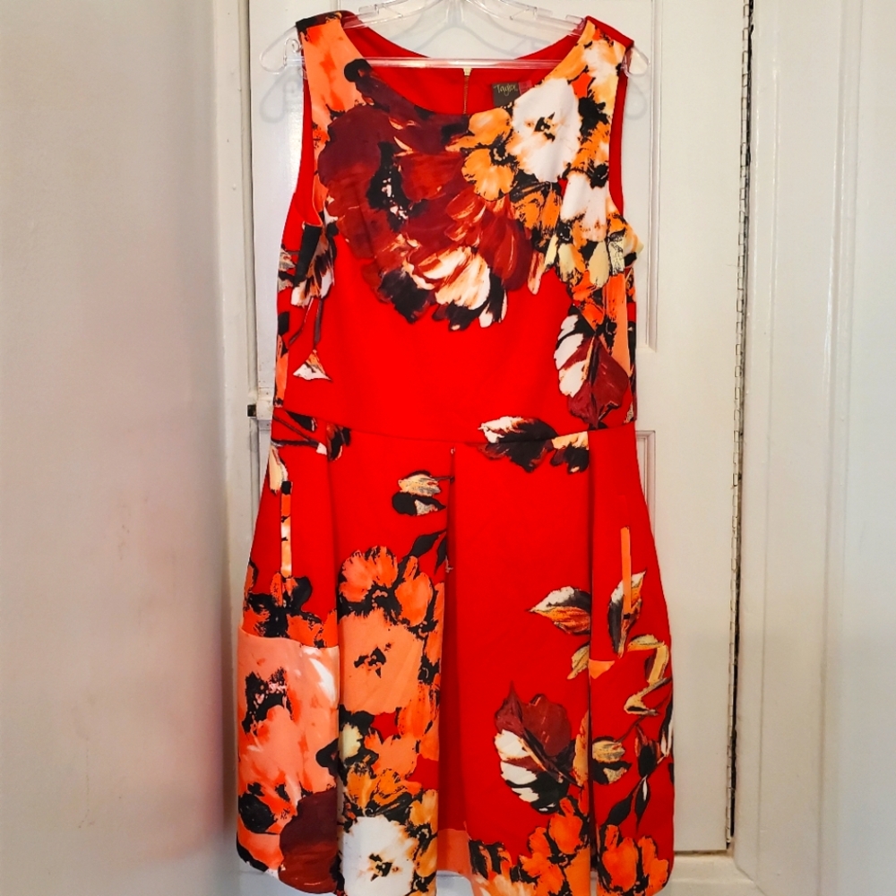 Multiple Color Dress